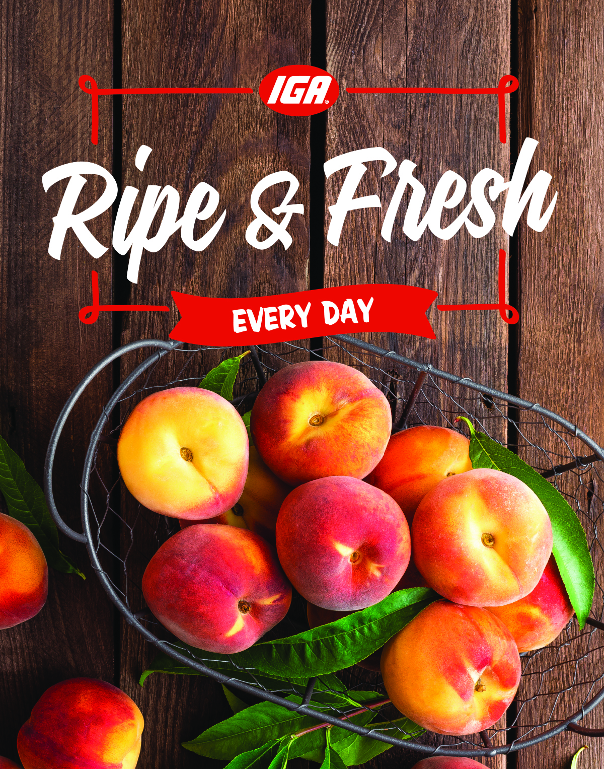 Produce Department: “Fresh Every Day” Hanging Signs – IGA Signs