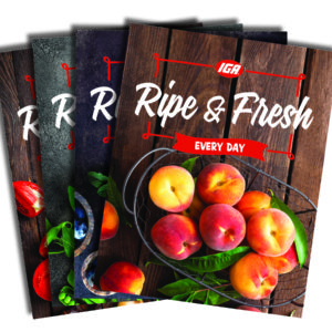 Produce Department: "Fresh Every Day" Hanging Signs